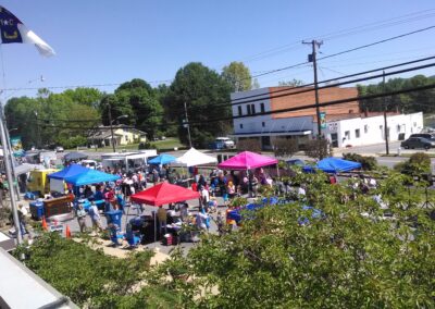 Downtown Hudson Butterfly Festival