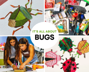 Its All About Bugs Art Camp for Teens